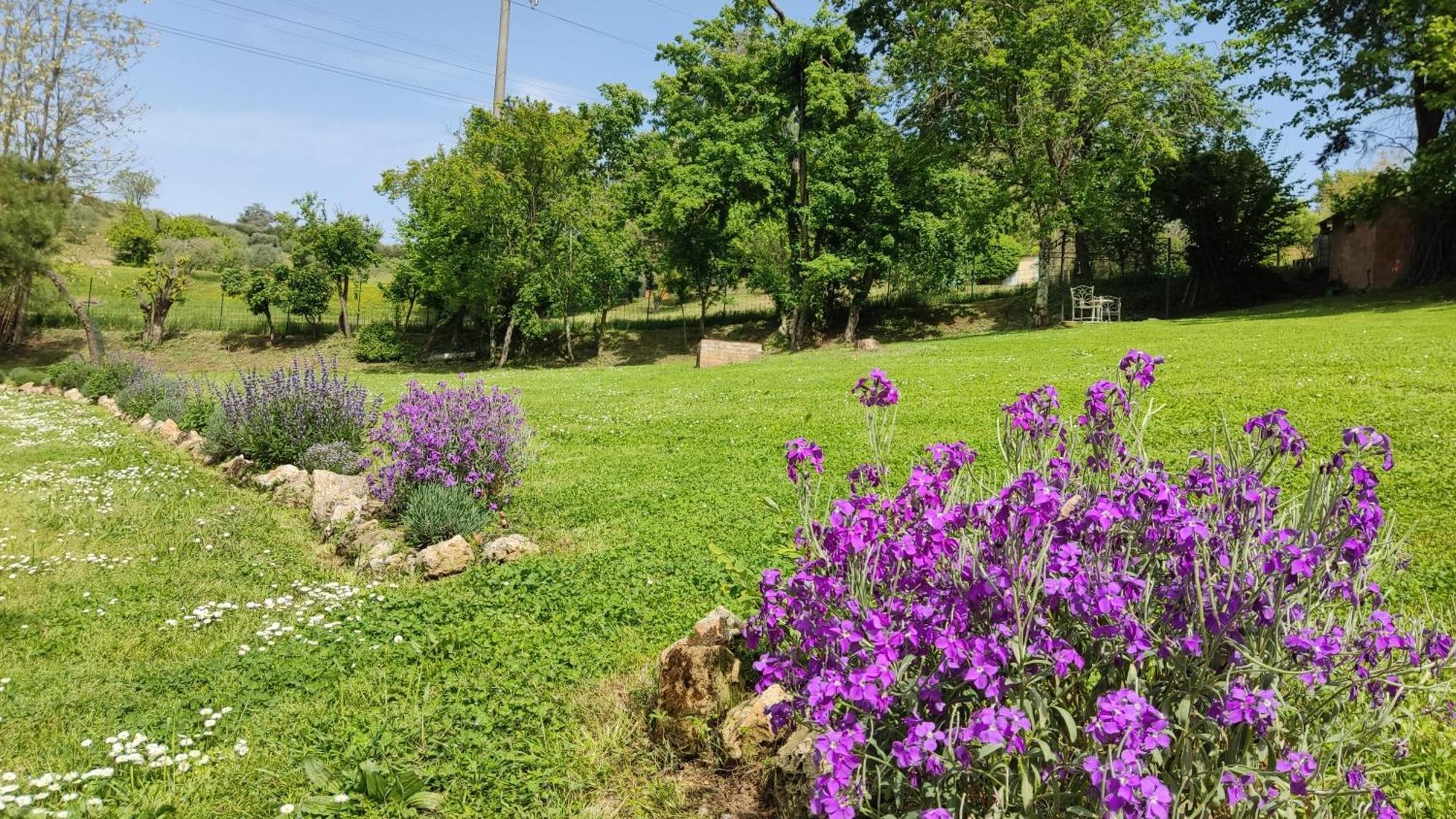 סיינה Agriturismo Le Grondaie מראה חיצוני תמונה
